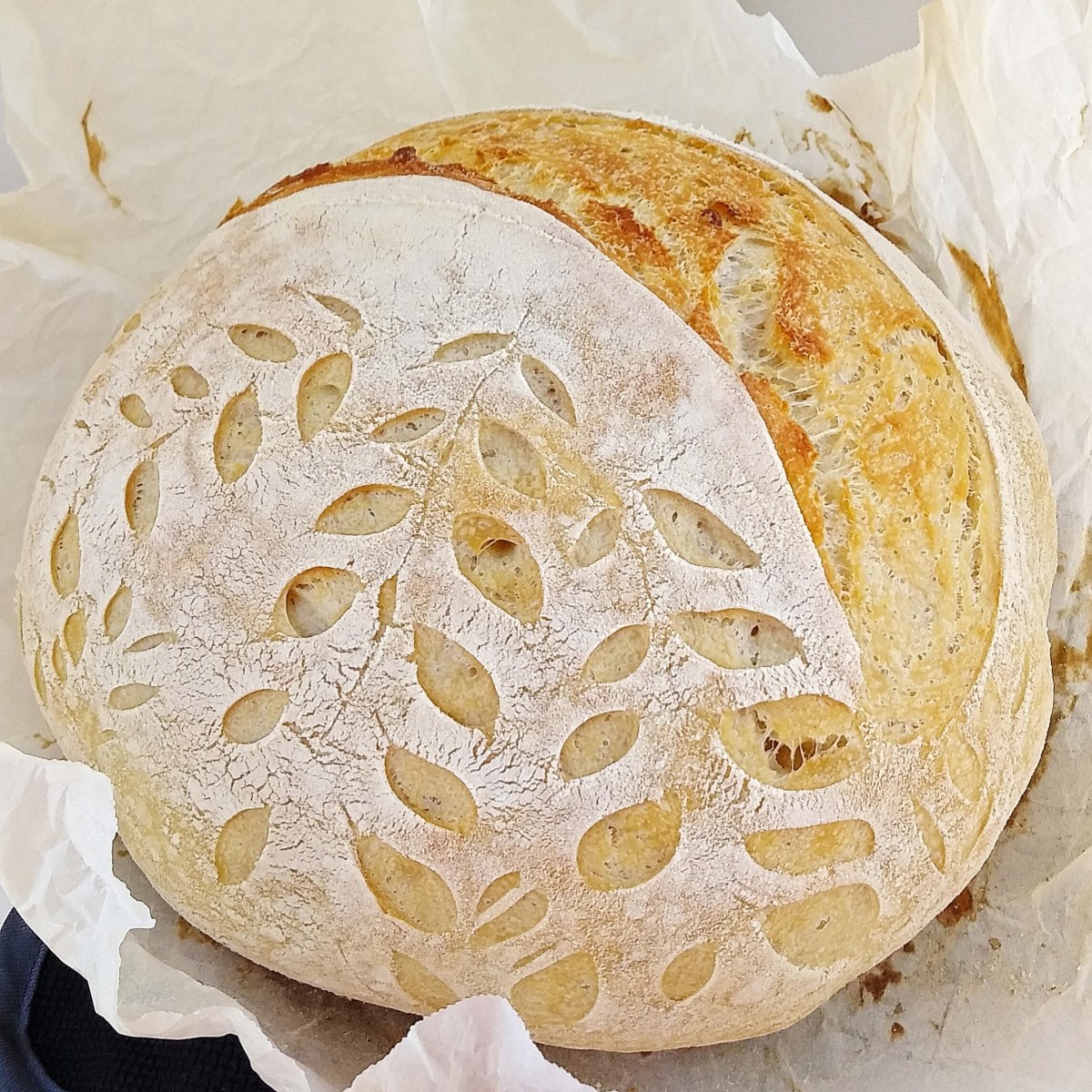 Why Sourdough?