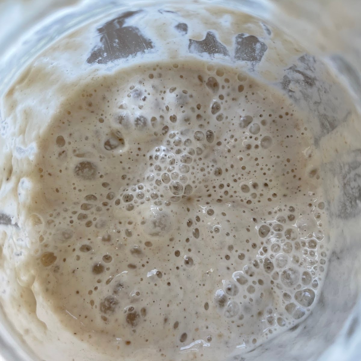 How to feed Sourdough Starter & Rehydrate Dehydrated&nbsp;Starter
