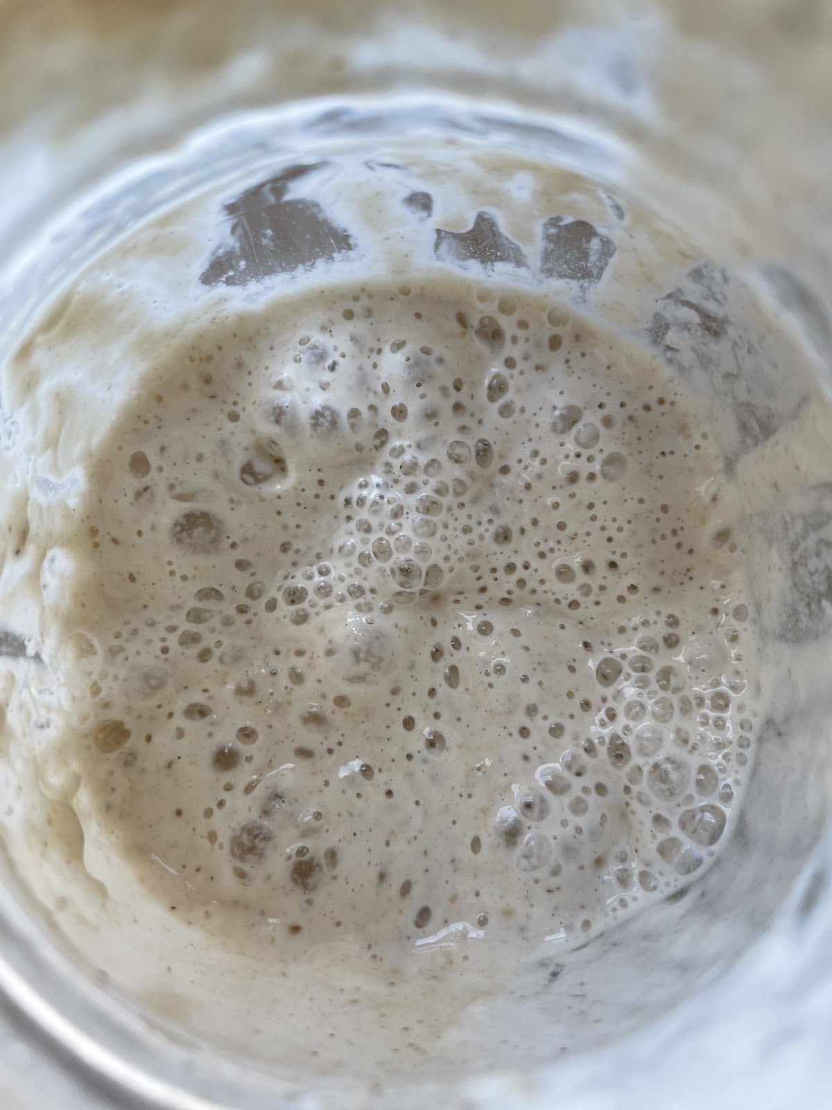 How to feed Sourdough Starter & Rehydrate Dehydrated&nbsp;Starter
